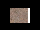 https://image.noelshack.com/fichiers/2012/25/1340282361-5153e5acea84239b3e6a4e3add93fa7f.png