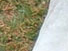 https://image.noelshack.com/fichiers/2012/25/1340282361-5e810edfe2c6c79de818d2115f27c72f.png