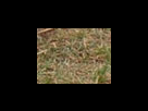 https://image.noelshack.com/fichiers/2012/25/1340282361-9304f4d38391897fc1aa0fb5b088f6b3.png