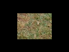 https://image.noelshack.com/fichiers/2012/25/1340282361-c09bce457a3113452a4b6dffa8c41ea1.png