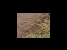 https://image.noelshack.com/fichiers/2012/25/1340282361-d862a98cdb5969637d3794f2ba83c912.png