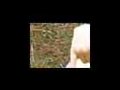 https://image.noelshack.com/fichiers/2012/25/1340282361-eb041b8b5ce3d038eacebb12115d16f0.png