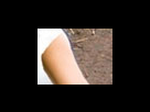 https://image.noelshack.com/fichiers/2012/25/1340282362-14d8a89b41aba5663fbcf831df536a6c.png