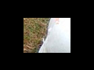 https://image.noelshack.com/fichiers/2012/25/1340282362-4c54397614c8c6a137eb5b452d0a347f.png