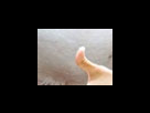 https://image.noelshack.com/fichiers/2012/25/1340282362-c7427fd86edc53117fbb277dabc92494.png