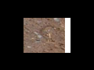 https://image.noelshack.com/fichiers/2012/25/1340282362-f4cb38664607c7860fa266b2bcec69f8.png