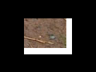 https://image.noelshack.com/fichiers/2012/25/1340282363-4964dbed6f33d239d573f0ab7657ffa7.png