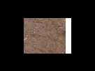 https://image.noelshack.com/fichiers/2012/25/1340282363-e9a12a41ecd0982151c85954c756e1e3.png