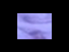 https://image.noelshack.com/fichiers/2012/25/1340282375-d960e782754e8e5e850b67e7284e9e05.png