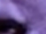 https://image.noelshack.com/fichiers/2012/25/1340282377-3ec1185cd94c42b655c1335c2fa9bf06.png