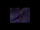 https://image.noelshack.com/fichiers/2012/25/1340282378-0a46dfdc1ce6aa484472b3fead0323c0.png