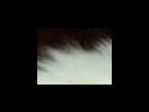 https://image.noelshack.com/fichiers/2012/25/1340282389-53acbacb2b2c37117ee82fb509d543c9.png