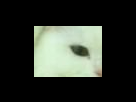 https://image.noelshack.com/fichiers/2012/25/1340282390-4412bc715a70e1d84c80f4a84a9fa3c0.png