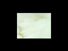 https://image.noelshack.com/fichiers/2012/25/1340282390-743275eae3df224ebac63665c18bc1bd.png