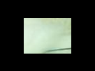 https://image.noelshack.com/fichiers/2012/25/1340282390-fd4645638854f05b092201a4eba042ee.png