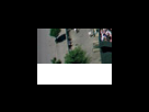 https://image.noelshack.com/fichiers/2012/25/1340282441-0ef3bde72265426362b4a9ff3e52f7b4.png