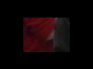 https://image.noelshack.com/fichiers/2012/25/1340282443-ab0aa5e604be6e4eeae1c28b971e9bed.png