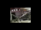 https://image.noelshack.com/fichiers/2012/25/1340282535-3722ab93e63dc6112fa2aa304fc4ee20.png