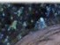 https://image.noelshack.com/fichiers/2012/25/1340282551-d397739d55cb2af7ccf059329d40a3ee.png