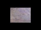 https://image.noelshack.com/fichiers/2012/25/1340282552-8d982e745fa0bf53ef0715a2c2c7697a.png