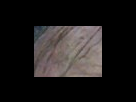 https://image.noelshack.com/fichiers/2012/25/1340282552-9f1e78882b4b42967078d7aeced2cc34.png