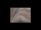 https://image.noelshack.com/fichiers/2012/25/1340282552-b96f2414869187e25020c29b619521d7.png
