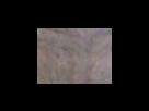 https://image.noelshack.com/fichiers/2012/25/1340282552-fb762ea8aab2b4b136823ff0fbd8eb10.png