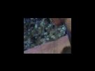 https://image.noelshack.com/fichiers/2012/25/1340282553-34aafd896cce01f3dd444fda970cd2a3.png