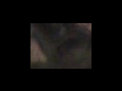 https://image.noelshack.com/fichiers/2012/25/1340282553-5735900bffc72fb1b897cbc3d789baf8.png