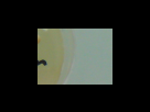 https://image.noelshack.com/fichiers/2012/25/1340282773-1d00a950814140e6126354e47e17731d.png