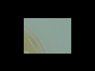 https://image.noelshack.com/fichiers/2012/25/1340282773-3195021e97a16d982c8fd8ea2fc39cb9.png