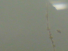 https://image.noelshack.com/fichiers/2012/25/1340282775-cfe6e1f68d4119165a14aa72df22857b.png