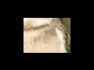 https://image.noelshack.com/fichiers/2012/25/1340282900-7015a60e120afdd357b511317aa572cf.png