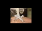https://image.noelshack.com/fichiers/2012/25/1340282901-fe5c1f8a700f2376920553f73df5bc12.png