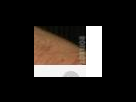 https://image.noelshack.com/fichiers/2012/25/1340282902-145d97431d069dc58fc8e7810edc3f82.png