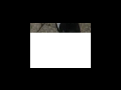 https://image.noelshack.com/fichiers/2012/25/1340282975-5cbb7e6f58eccd69ed952442c26dee62.png