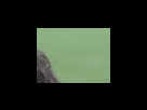 https://image.noelshack.com/fichiers/2012/25/1340283086-9e5c14c6bc839bc071743f5618bb61ae.png