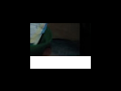 https://image.noelshack.com/fichiers/2012/25/1340283101-90f1904e7ba8ce59d2647ef3e21e69ef.png