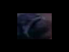 https://image.noelshack.com/fichiers/2012/25/1340283182-a25794b8797e1e69abd1f32399b5d37e.png