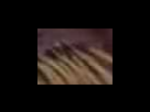 https://image.noelshack.com/fichiers/2012/25/1340283182-aa9554a7eb1b5f21791191fdb79492a0.png