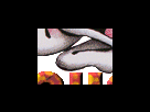 https://image.noelshack.com/fichiers/2012/25/1340283483-41919d83af6fe49fe64ecef902bd750d.png