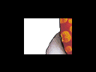 https://image.noelshack.com/fichiers/2012/25/1340283483-860b13228220cf56da707233304d0052.png