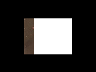 https://image.noelshack.com/fichiers/2012/25/1340283925-8e3471c4fce7013618ef8e19ec7dd2e2.png