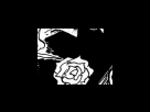 https://image.noelshack.com/fichiers/2012/25/1340284336-5df81eafb1a481256d5da1d515fd626b.png