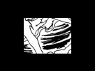 https://image.noelshack.com/fichiers/2012/25/1340284343-38f5c9d9c490288234181603ed9c4867.png