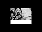https://image.noelshack.com/fichiers/2012/25/1340284348-828ac0648cba53d7c9e108d440a54bea.png