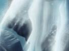 https://image.noelshack.com/fichiers/2012/25/1340284529-a019f8e5968e472d3b308d27fdb09e2b.png