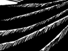 https://image.noelshack.com/fichiers/2012/25/1340284553-d0d8a2e7de9d6404daaf4a6a3761e55e.png