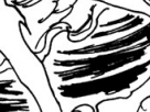 https://image.noelshack.com/fichiers/2012/25/1340284579-dcdb102393b541b41737bb754fbca969.png