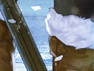 https://image.noelshack.com/fichiers/2012/25/1340284702-97e6a95c80738c65b4dd72daf73c9602.png